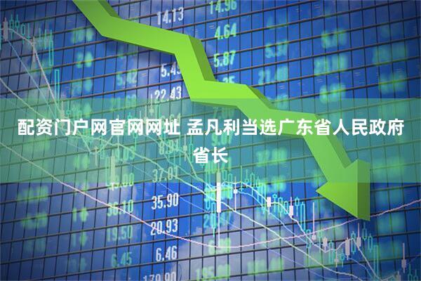 配资门户网官网网址 孟凡利当选广东省人民政府省长