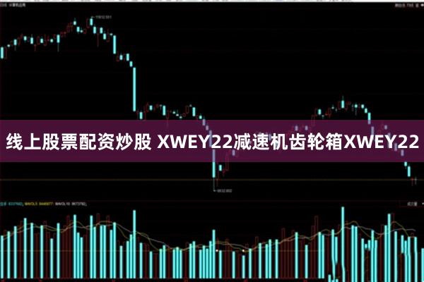 线上股票配资炒股 XWEY22减速机齿轮箱XWEY22